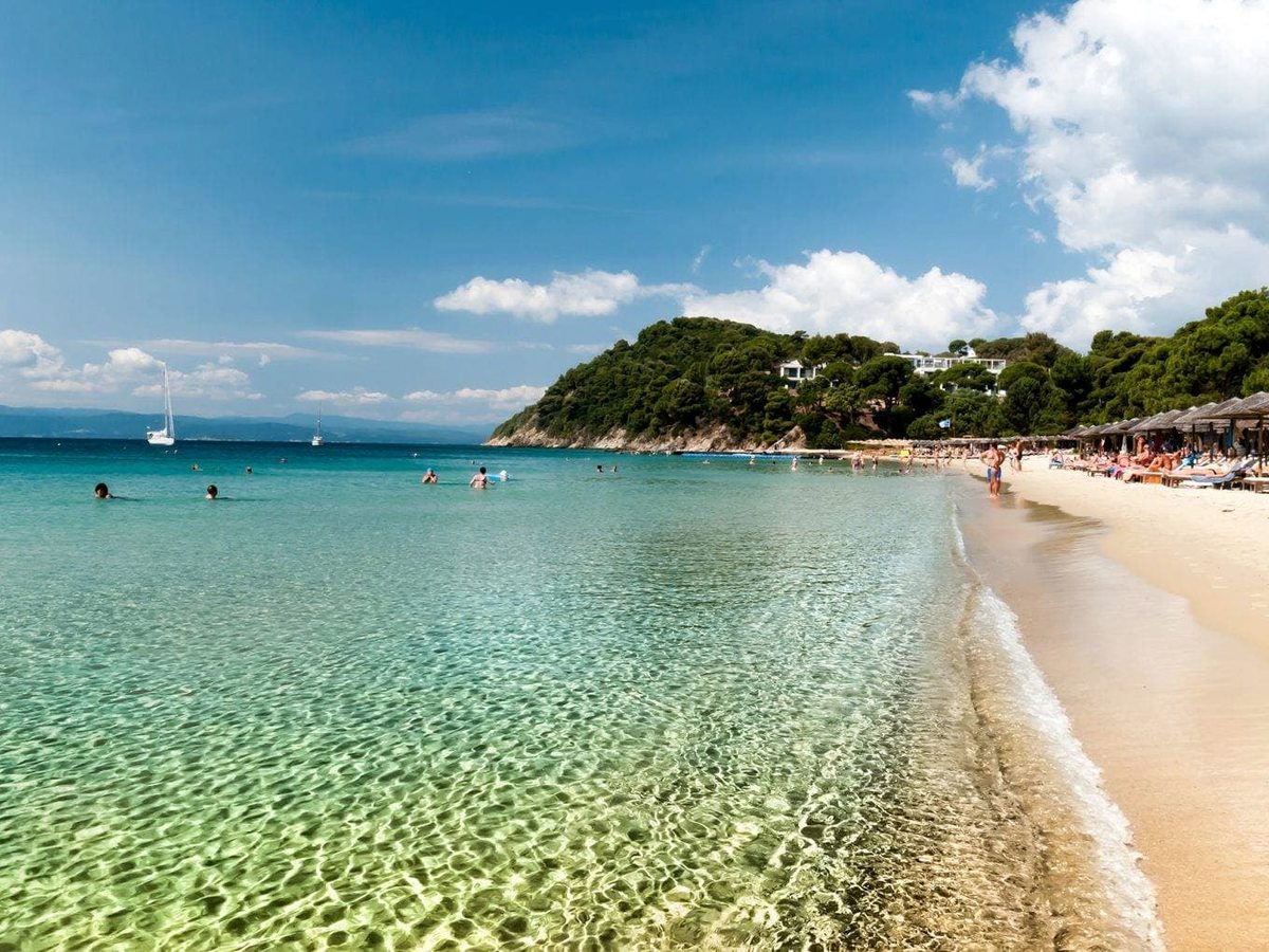 A sandy beach with clear shallow turquoise water and swimmers, a pine-covered headland and rows of thatched parasols along the sand.