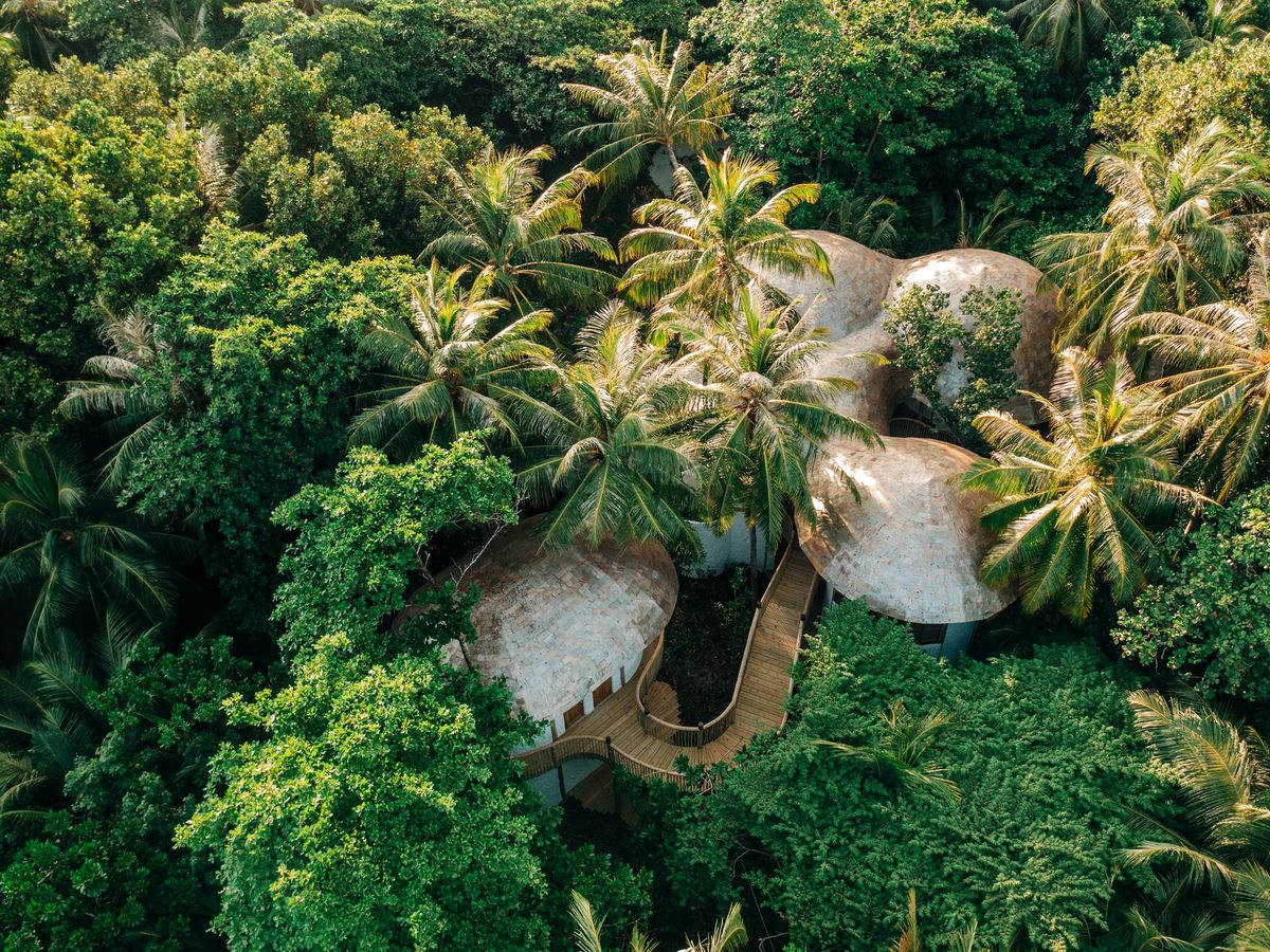 Aerial view of curved shingle-clad roofs linked by a raised timber walkway, surrounded by palms and dense green forest.