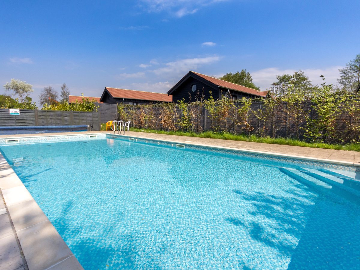 A rectangular open-air swimming pool with blue water, a paved surround and a metal ladder, enclosed by a black timber fence and hedges.