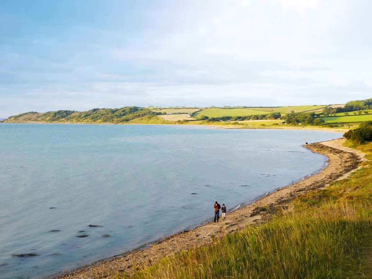 A curving shingle shoreline with rough grass in the foreground, calm blue water and low green farmland along the far side of the bay.