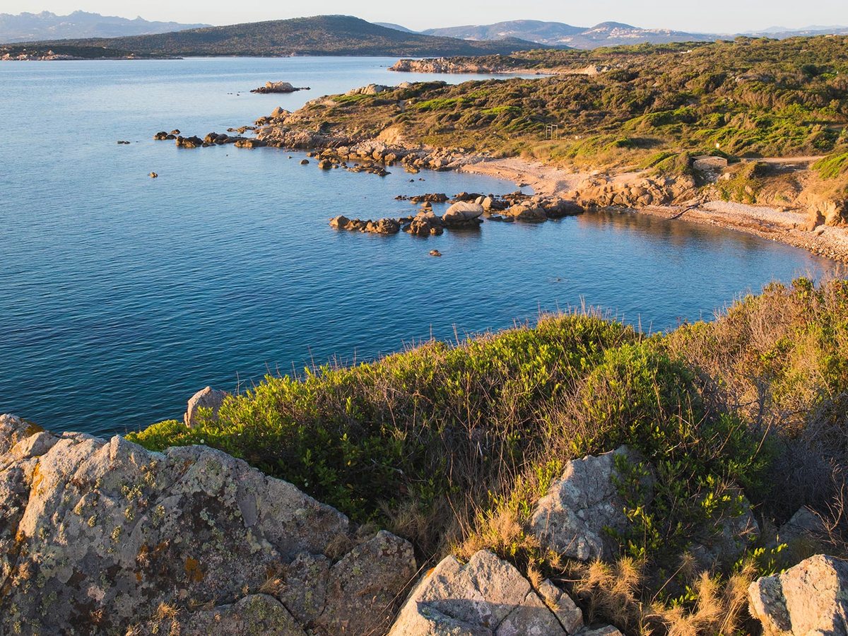 A rocky bay with granite outcrops and low scrub in the foreground, blue sea and distant hills under a clear sky.