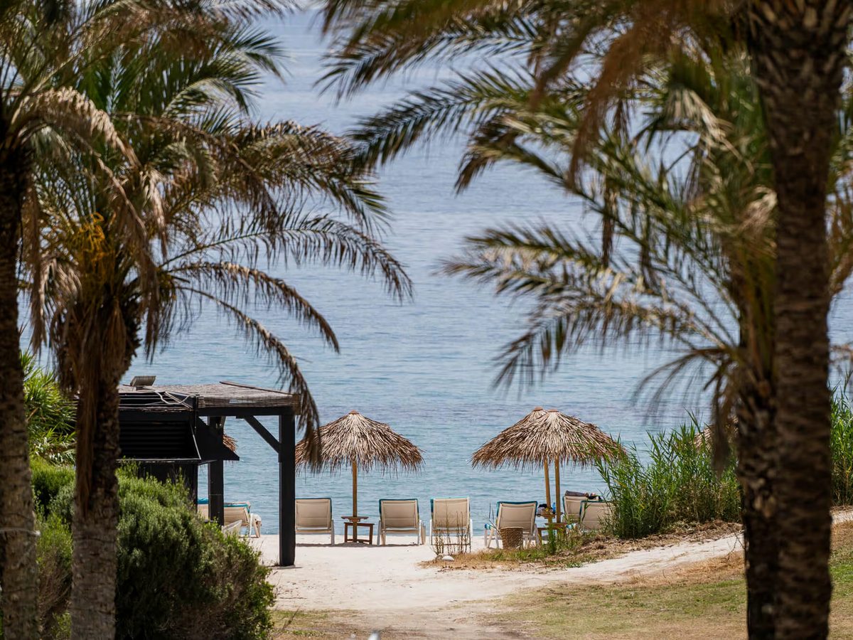Sandy path running down between date palms to a beach with thatched parasols, sunbeds and a timber beach hut beside a calm sea.