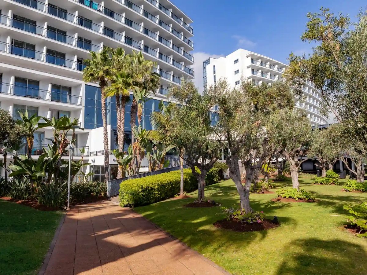 Two white hotel towers of glass-fronted balconies rising above a lawn planted with olive and palm trees, with a paved path curving through the garden under a clear sky.