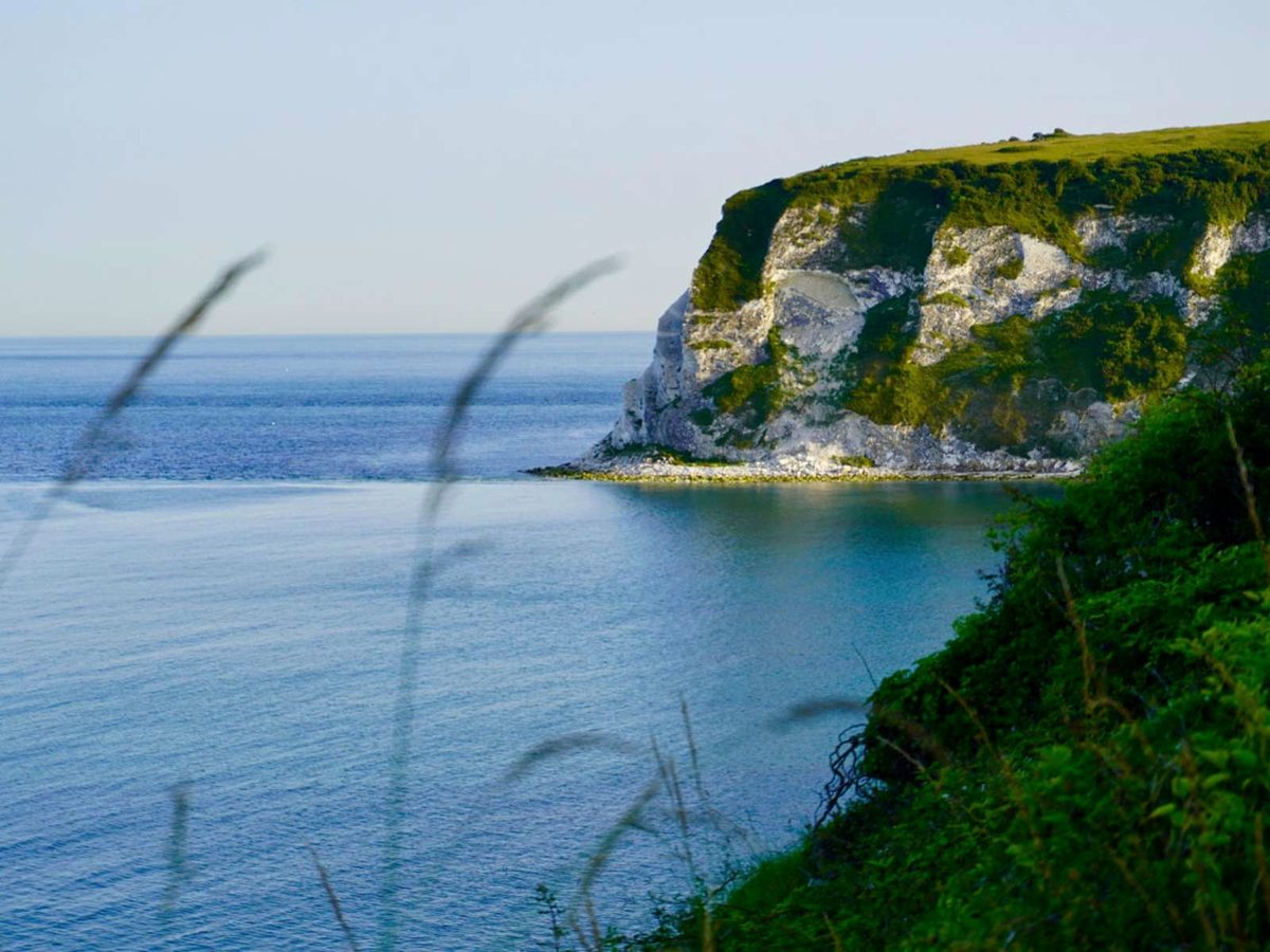 A white chalk headland with green clifftop grass dropping to a shingle shoreline and calm blue sea, with grasses in the foreground.